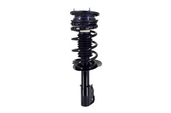 Suspension Strut and Coil Spring Assembly
