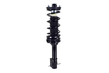Suspension Strut and Coil Spring Assembly