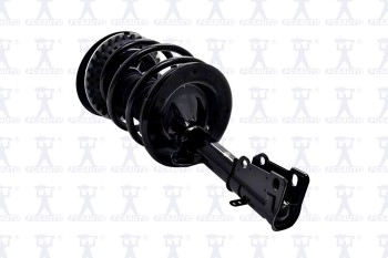 Suspension Strut and Coil Spring Assembly