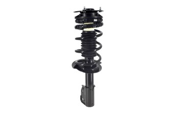 Suspension Strut and Coil Spring Assembly