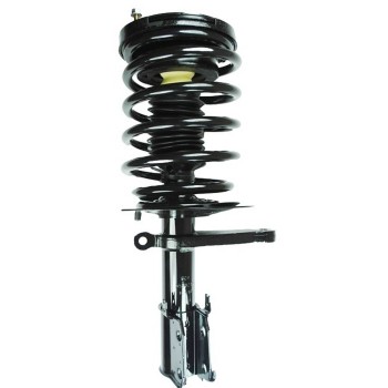 Suspension Strut and Coil Spring Assembly