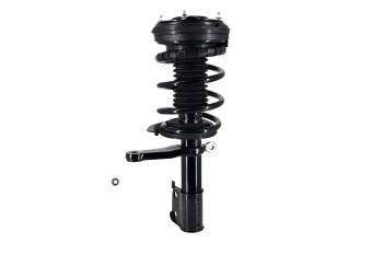Suspension Strut and Coil Spring Assembly