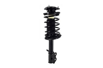 Suspension Strut and Coil Spring Assembly