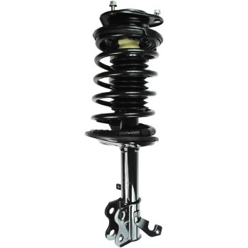 Suspension Strut and Coil Spring Assembly