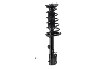 Suspension Strut and Coil Spring Assembly