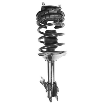 Suspension Strut and Coil Spring Assembly