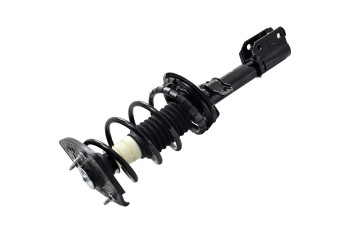 Suspension Strut and Coil Spring Assembly
