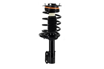 Suspension Strut and Coil Spring Assembly