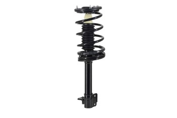 Suspension Strut and Coil Spring Assembly