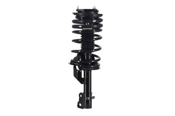 Suspension Strut and Coil Spring Assembly