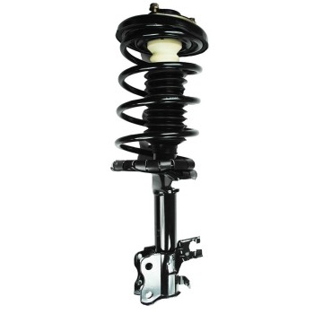 Suspension Strut and Coil Spring Assembly