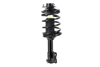 Suspension Strut and Coil Spring Assembly