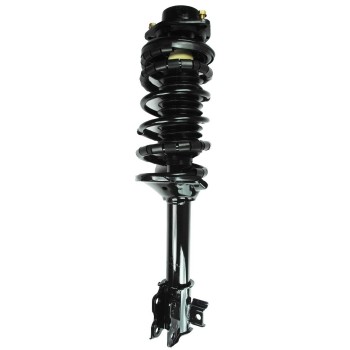 Suspension Strut and Coil Spring Assembly