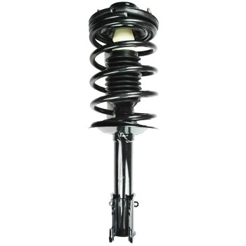 Suspension Strut and Coil Spring Assembly