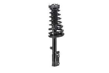 Suspension Strut and Coil Spring Assembly