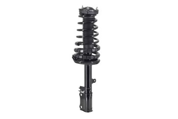 Suspension Strut and Coil Spring Assembly
