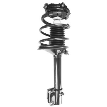 Suspension Strut and Coil Spring Assembly