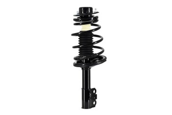 Suspension Strut and Coil Spring Assembly