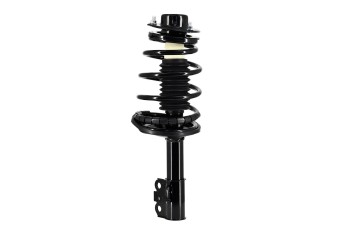 Suspension Strut and Coil Spring Assembly