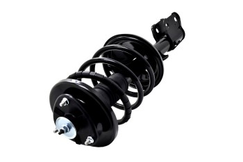 Suspension Strut and Coil Spring Assembly