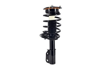 Suspension Strut and Coil Spring Assembly