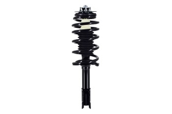 Suspension Strut and Coil Spring Assembly