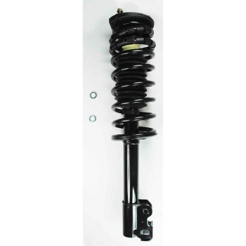 Suspension Strut and Coil Spring Assembly