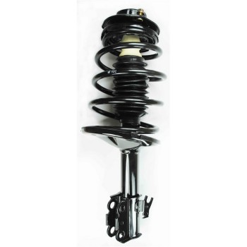 Suspension Strut and Coil Spring Assembly