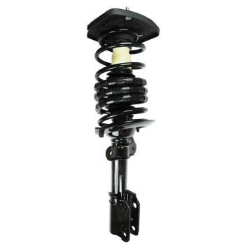 Suspension Strut and Coil Spring Assembly