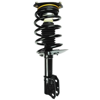 Suspension Strut and Coil Spring Assembly