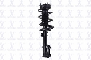 Suspension Strut and Coil Spring Assembly