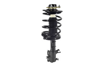 Suspension Strut and Coil Spring Assembly