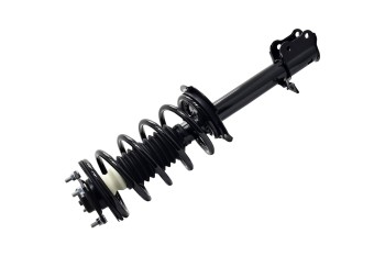 Suspension Strut and Coil Spring Assembly