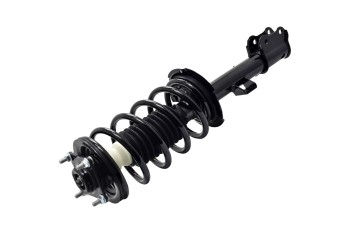 Suspension Strut and Coil Spring Assembly