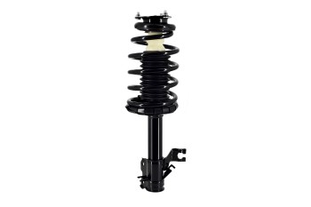 Suspension Strut and Coil Spring Assembly