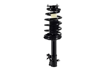 Suspension Strut and Coil Spring Assembly