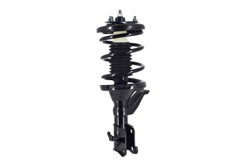 Suspension Strut and Coil Spring Assembly