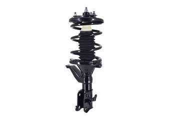 Suspension Strut and Coil Spring Assembly