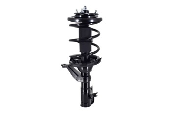 Suspension Strut and Coil Spring Assembly