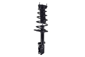 Suspension Strut and Coil Spring Assembly