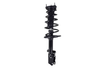 Suspension Strut and Coil Spring Assembly