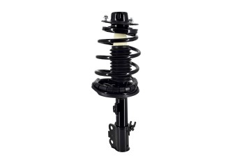 Suspension Strut and Coil Spring Assembly