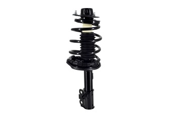 Suspension Strut and Coil Spring Assembly