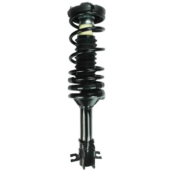 Suspension Strut and Coil Spring Assembly