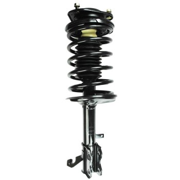 Suspension Strut and Coil Spring Assembly