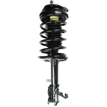 Suspension Strut and Coil Spring Assembly