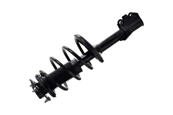 Suspension Strut and Coil Spring Assembly
