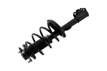 Suspension Strut and Coil Spring Assembly