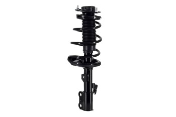 Suspension Strut and Coil Spring Assembly