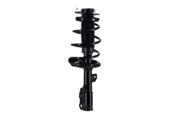 Suspension Strut and Coil Spring Assembly